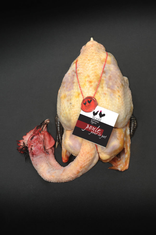 Poule Noire d'Astarac Bigorre (ou poule gasconne) pour le pot