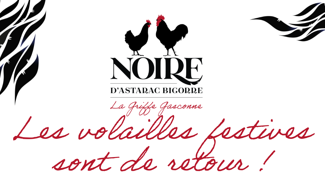Nos festives sont de retour !