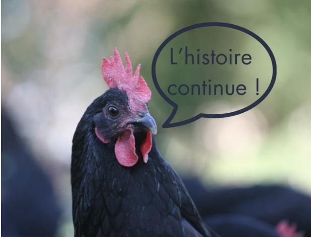 Soutenir la Noire d'Astarac Bigorre
